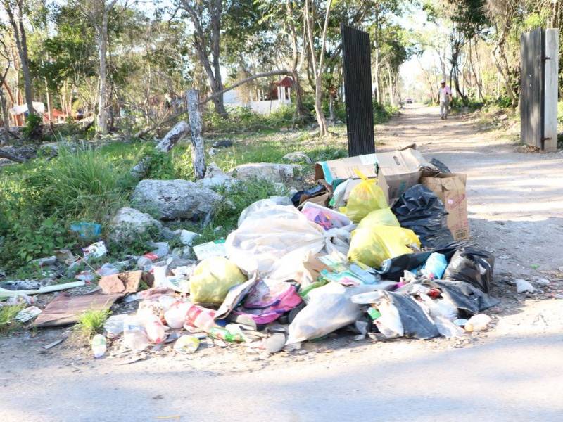Veloz crecimiento dificulta recolección de basura en Tulum