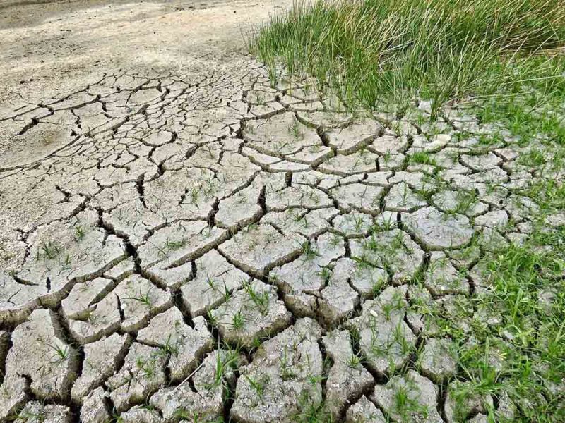 Sequía gana terreno en México; 38.9% de la superficie registra afectaciones