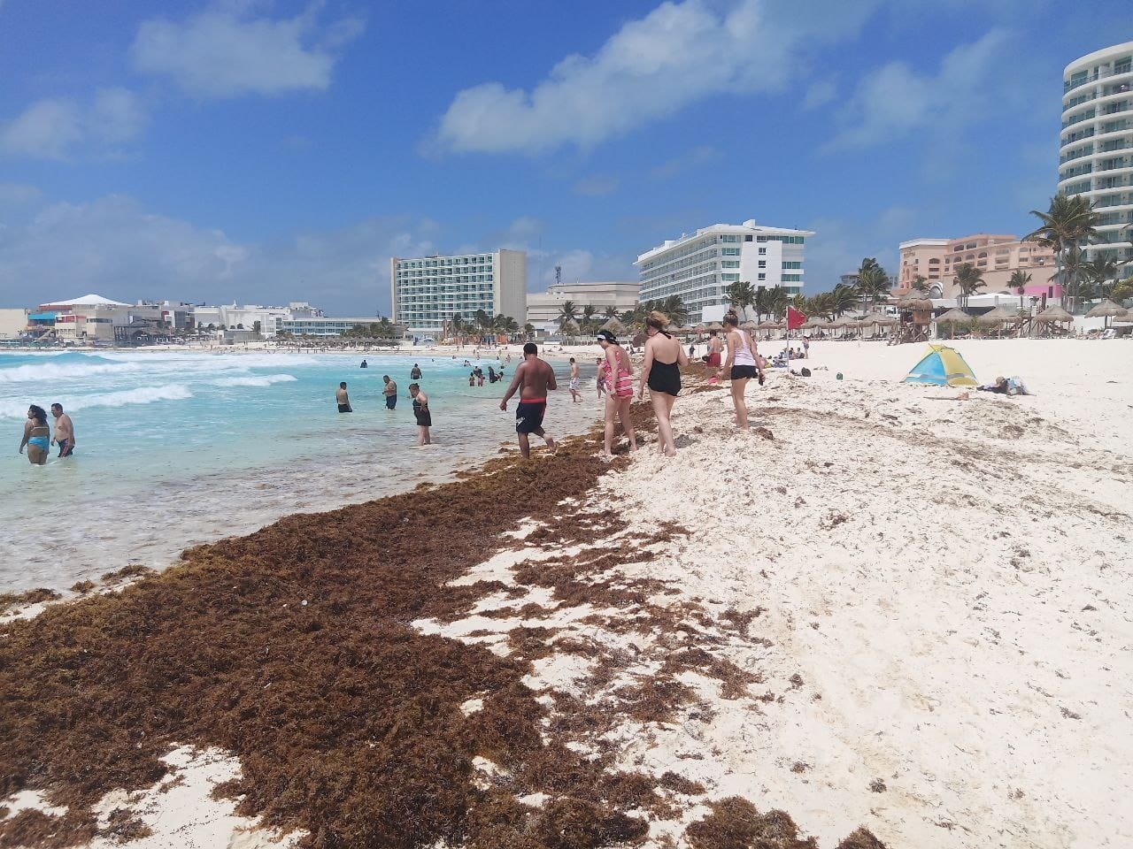 Diario el caribe sargazo en Cancun