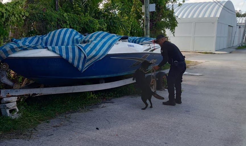 Certifican a policías de Tulum en el manejo de caninos antinarcóticos