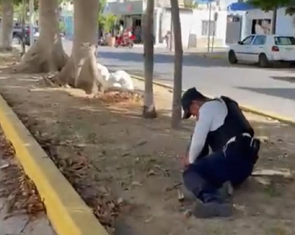 Detienen a extranjero que caminaba desnudo en Playa del Carmen; atacó a un policía