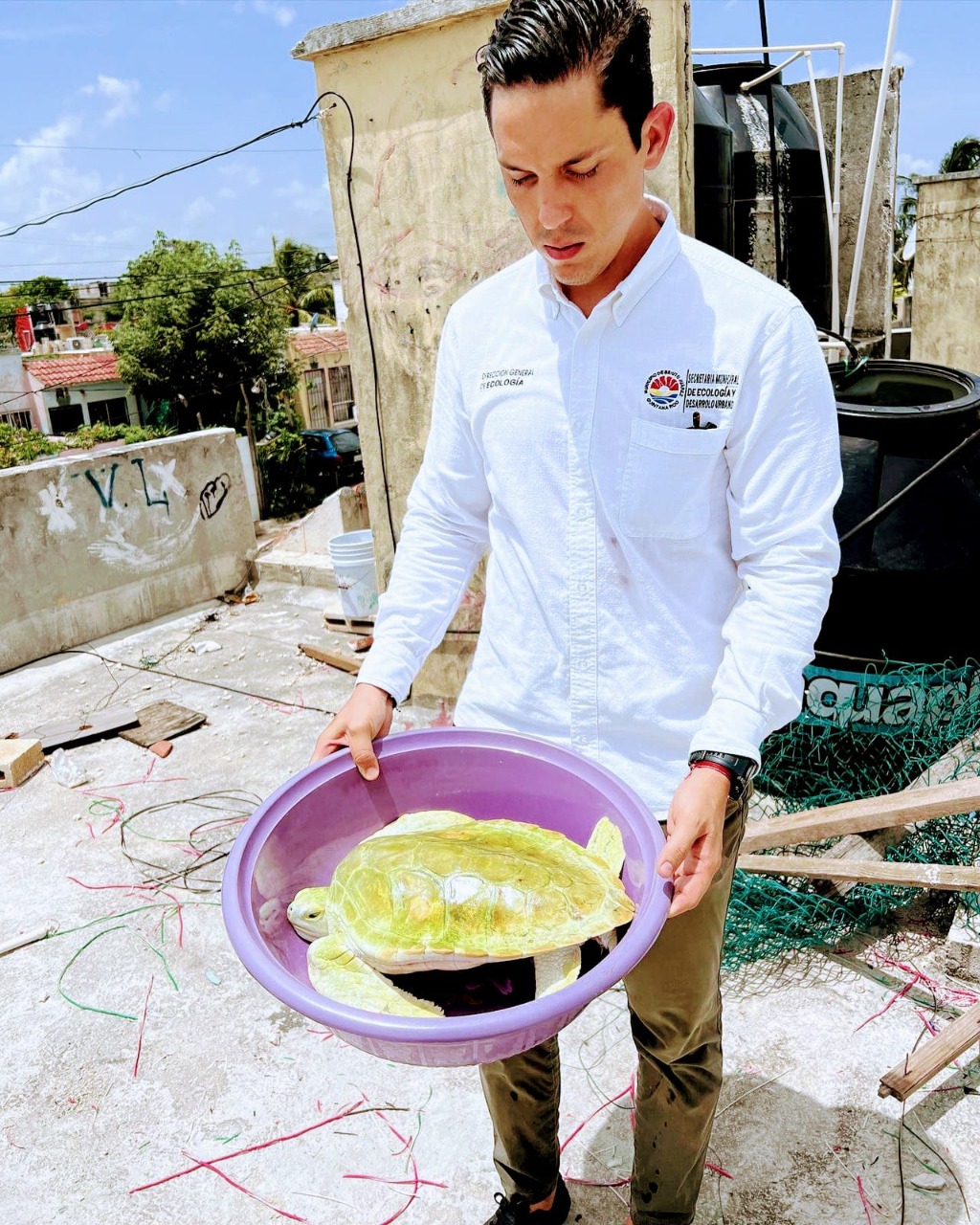 Rescatan a tortuga albina en Villas Otoch Paraíso, en Cancún