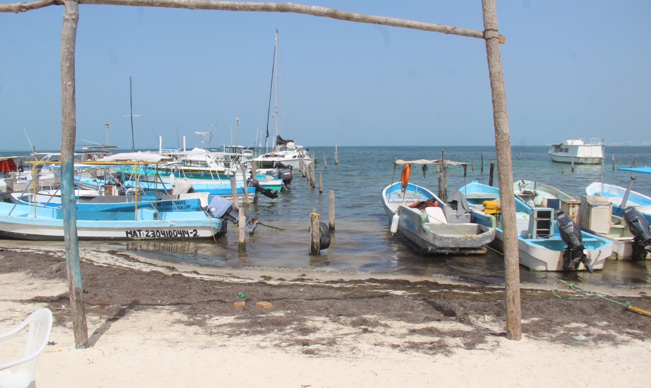 Pescadores de Puerto Juárez inician con el 'pie izquierdo' temporada de langosta