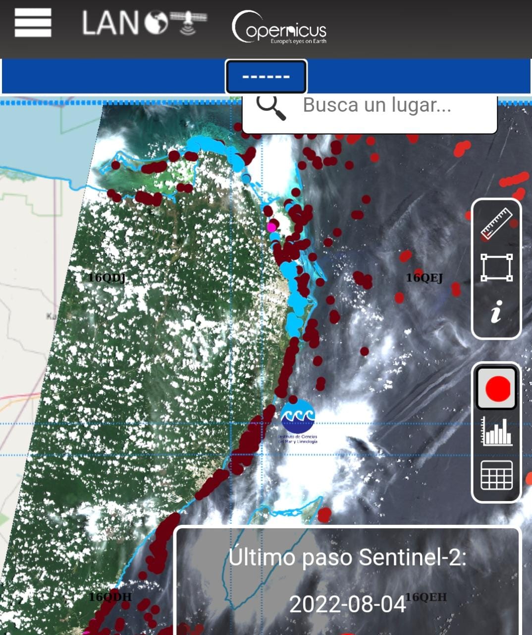 Desarrolla UNAM portal gratuito para monitorear el sargazo en Quintana Roo